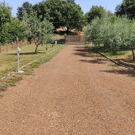 Il Melarancio B&B Monterosi Экстерьер фото
